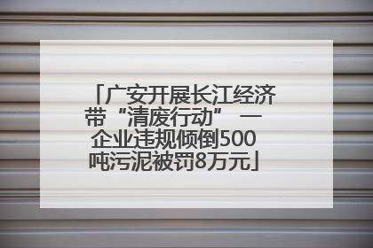 广安开展长江经济带“清废行动” 一企业违规倾倒500吨污泥被罚8万元