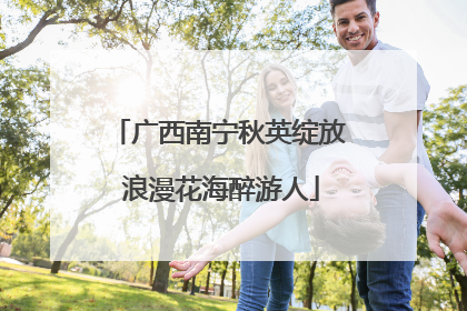 广西南宁秋英绽放 浪漫花海醉游人