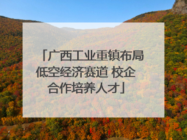 广西工业重镇布局低空经济赛道 校企合作培养人才