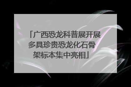 广西恐龙科普展开展 多具珍贵恐龙化石骨架标本集中亮相