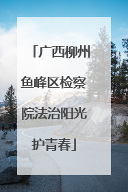 广西柳州鱼峰区检察院法治阳光护青春