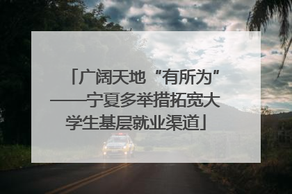 广阔天地“有所为”——宁夏多举措拓宽大学生基层就业渠道