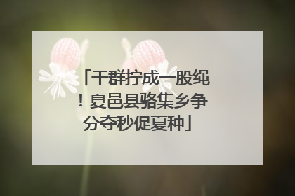 干群拧成一股绳！夏邑县骆集乡争分夺秒促夏种