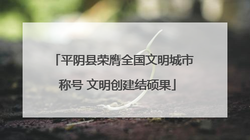 平阴县荣膺全国文明城市称号 文明创建结硕果