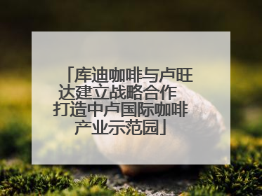 库迪咖啡与卢旺达建立战略合作 打造中卢国际咖啡产业示范园