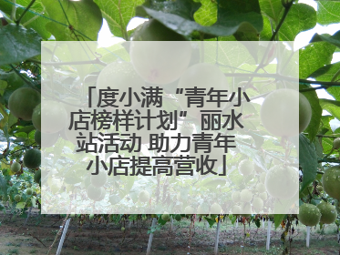 度小满“青年小店榜样计划”丽水站活动 助力青年小店提高营收