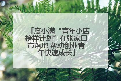 度小满“青年小店榜样计划”在张家口市落地 帮助创业青年快速成长
