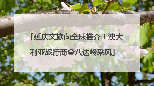 延庆文旅向全球推介！澳大利亚旅行商登八达岭采风