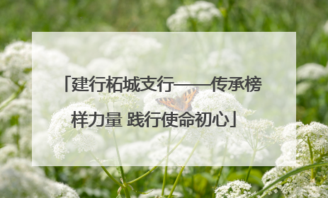 建行柘城支行——传承榜样力量 践行使命初心