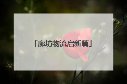 廊坊物流启新篇