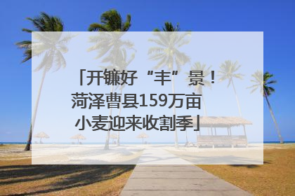 开镰好“丰”景！菏泽曹县159万亩小麦迎来收割季