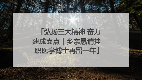 弘扬三大精神 奋力建成支点｜乡亲恳请挂职医学博士再留一年