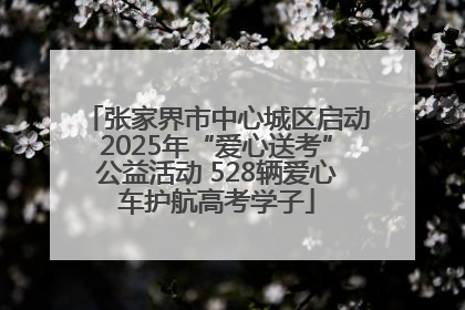 张家界市中心城区启动2025年“爱心送考”公益活动 528辆爱心车护航高考学子