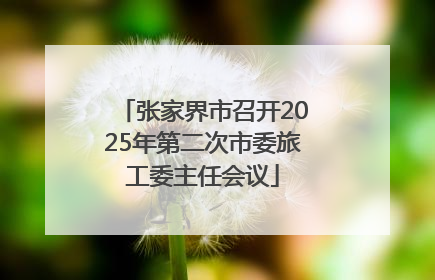 张家界市召开2025年第二次市委旅工委主任会议