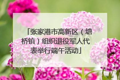 张家港市高新区（塘桥镇）组织退役军人代表举行端午活动