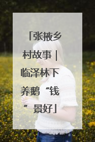 张掖乡村故事｜临泽林下养鹅“钱”景好