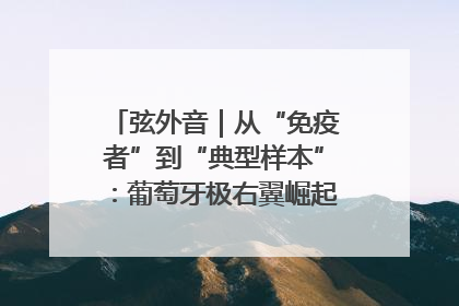 弦外音｜从“免疫者”到“典型样本”：葡萄牙极右翼崛起背后的欧洲困局