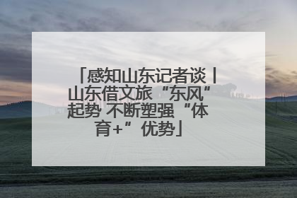 感知山东记者谈丨山东借文旅“东风”起势 不断塑强“体育+”优势