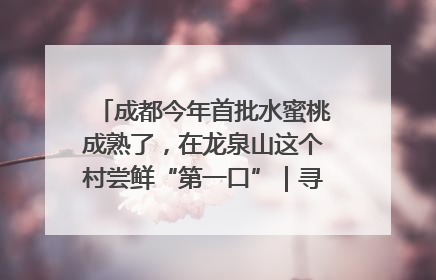 成都今年首批水蜜桃成熟了，在龙泉山这个村尝鲜“第一口”｜寻找和美乡村推荐官