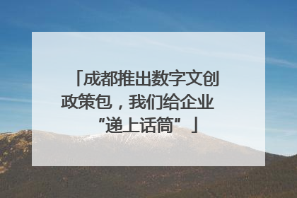 成都推出数字文创政策包，我们给企业“递上话筒”