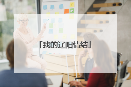 我的辽阳情结