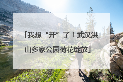 我想“开”了！武汉洪山多家公园荷花绽放