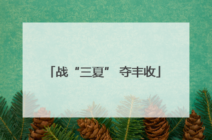 战“三夏” 夺丰收