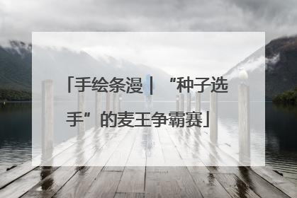 手绘条漫｜“种子选手”的麦王争霸赛
