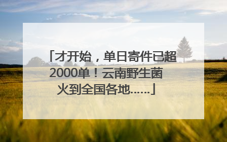 才开始，单日寄件已超2000单！云南野生菌火到全国各地……