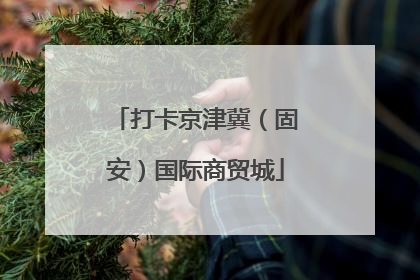 打卡京津冀（固安）国际商贸城