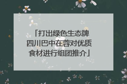 打出绿色生态牌 四川巴中在蓉对优质食材进行组团推介