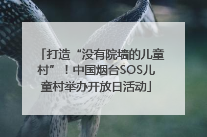 打造“没有院墙的儿童村”！中国烟台SOS儿童村举办开放日活动