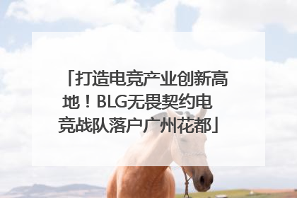 打造电竞产业创新高地！BLG无畏契约电竞战队落户广州花都