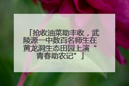 抢收油菜助丰收，武陵源一中数百名师生在黄龙洞生态田园上演“青春助农记”