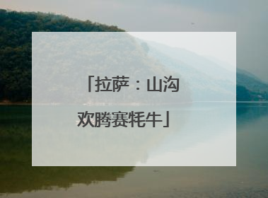 拉萨：山沟欢腾赛牦牛