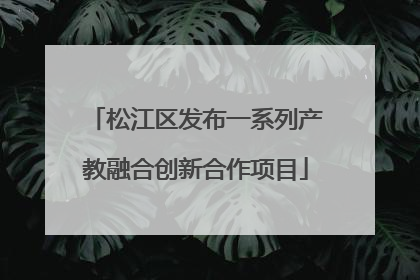 松江区发布一系列产教融合创新合作项目