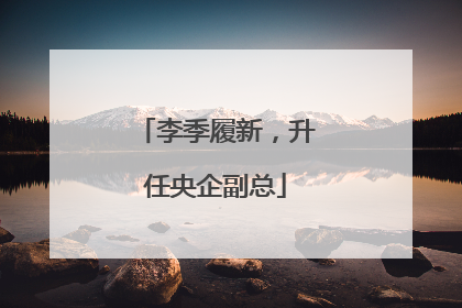 李季履新，升任央企副总
