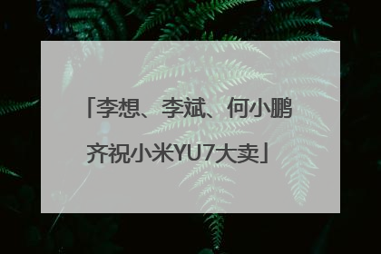李想、李斌、何小鹏齐祝小米YU7大卖