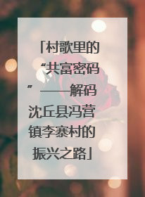 村歌里的“共富密码”——解码沈丘县冯营镇李寨村的振兴之路