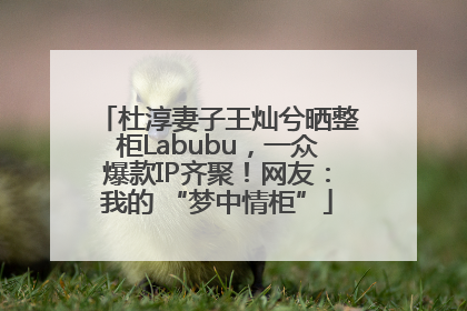 杜淳妻子王灿兮晒整柜Labubu，一众爆款IP齐聚！网友：我的 “梦中情柜”