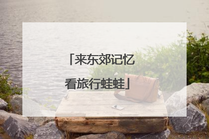 来东郊记忆 看旅行蛙蛙