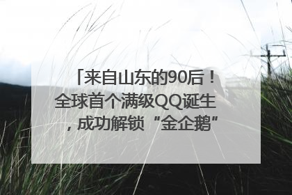 来自山东的90后！全球首个满级QQ诞生，成功解锁“金企鹅”，是继承父亲账号