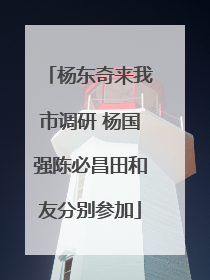 杨东奇来我市调研 杨国强陈必昌田和友分别参加
