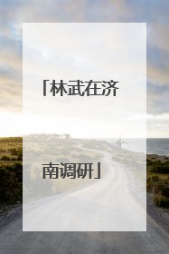 林武在济南调研