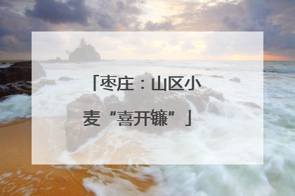 枣庄：山区小麦“喜开镰”