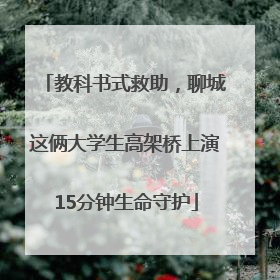 教科书式救助，聊城这俩大学生高架桥上演15分钟生命守护