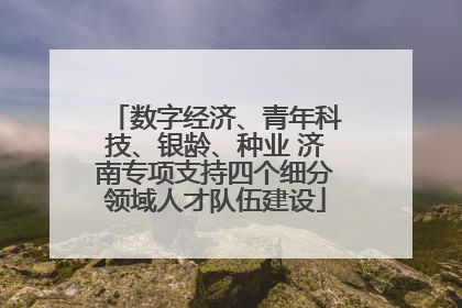 数字经济、青年科技、银龄、种业 济南专项支持四个细分领域人才队伍建设