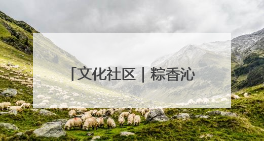 文化社区｜粽香沁人心 浓浓端午情