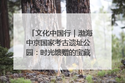 文化中国行｜渤海中京国家考古遗址公园：时光馈赠的宝藏 历史凝固的诗篇