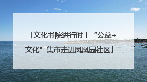 文化书院进行时丨“公益+文化”集市走进凤凰园社区